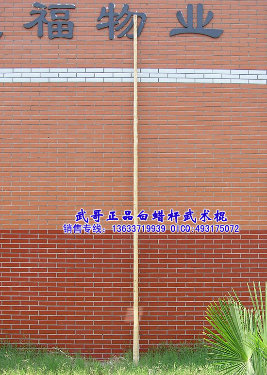 珍藏级太极大杆