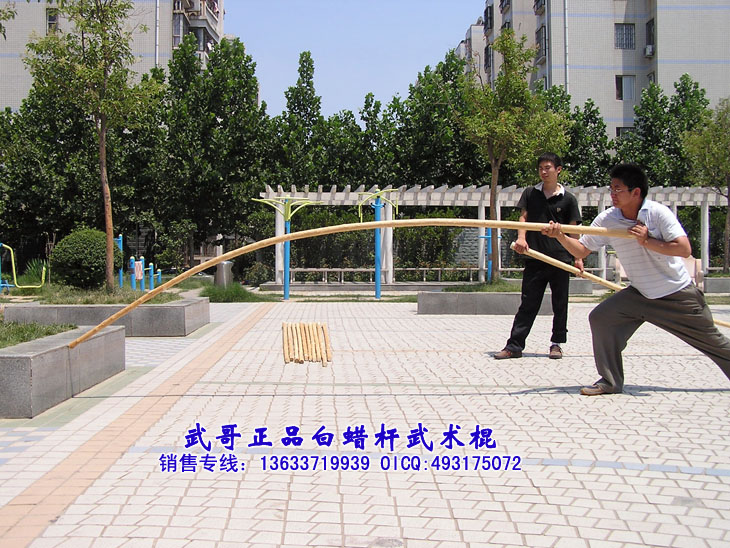 珍藏级太极大杆