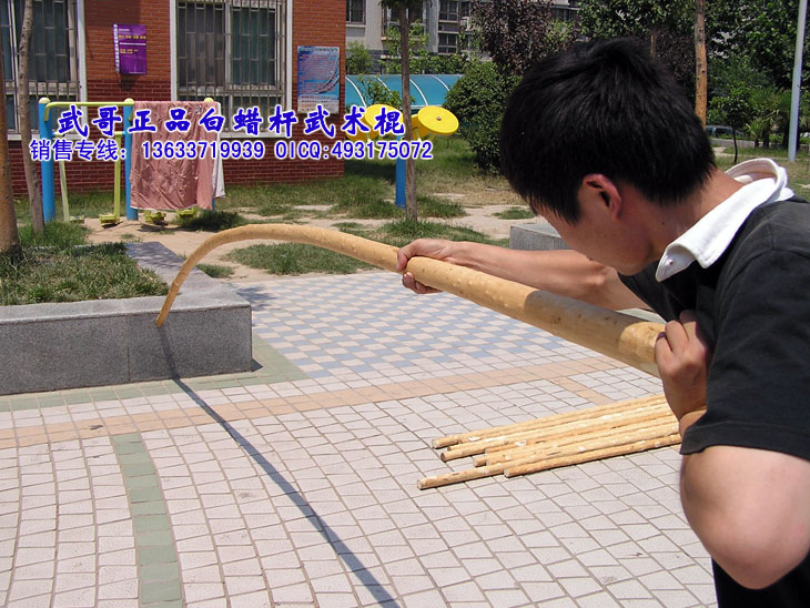 珍藏级太极大杆