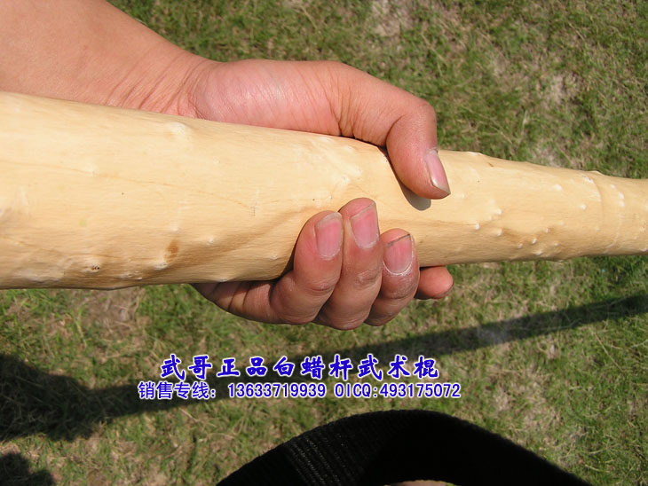 珍藏级太极大杆