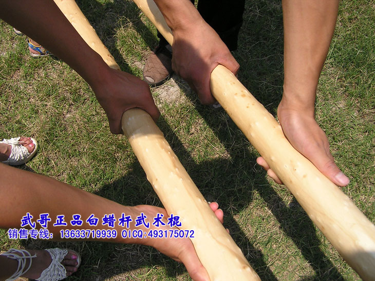 珍藏级太极大杆