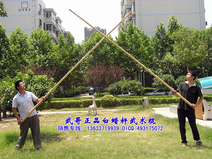 珍藏级太极大杆