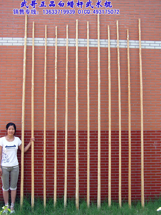 珍藏级太极大杆