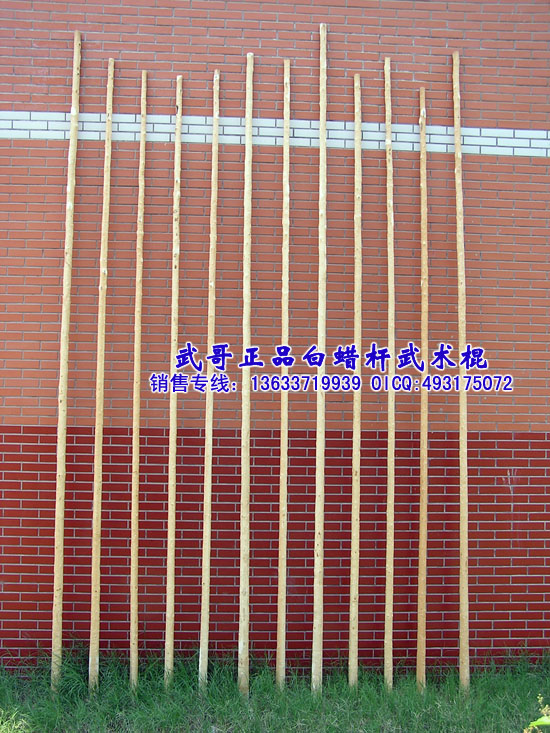 珍藏级太极大杆