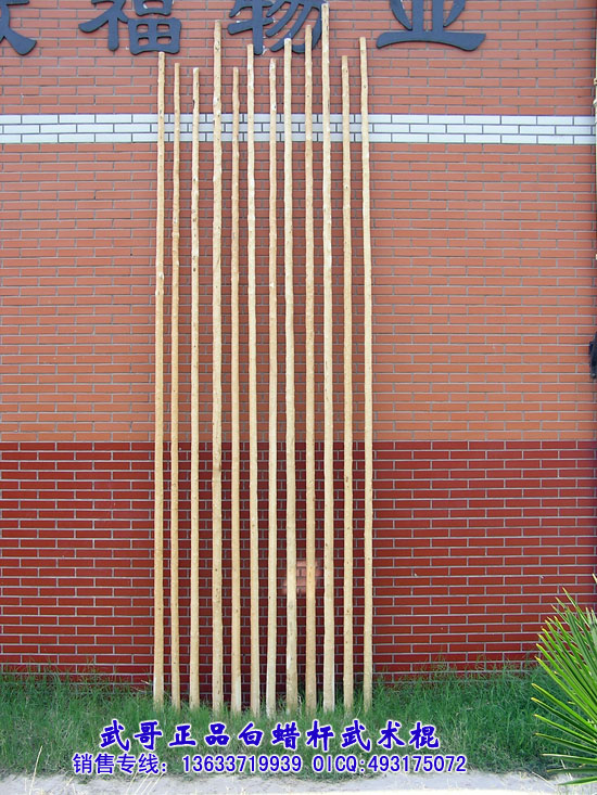 珍藏级太极大杆