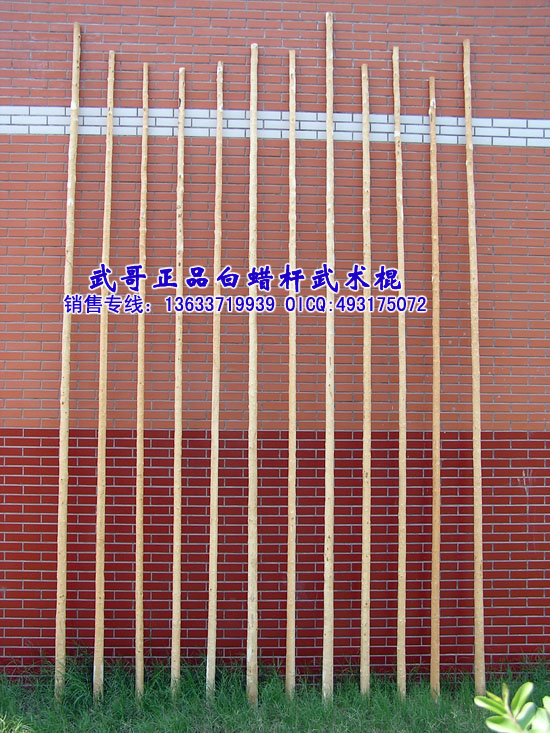 珍藏级太极大杆