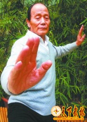 李德润展示杨式太极拳。 北国网、辽沈晚报主任记者 王志东 摄