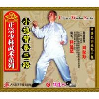 小通臂拳三路--正宗少林武术系列   1VCD