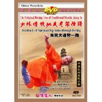 南院大通臂一路--少林传统功夫老架捶谱   1DVD