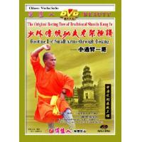 小通臂一路--少林传统功夫老架捶谱   1DVD