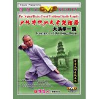 大洪拳一路--少林传统功夫老架捶谱   2DVD
