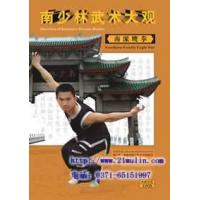 南少林武术大观——南派鹰拳