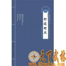 中国武术入门之初级枪术  [书+光盘]