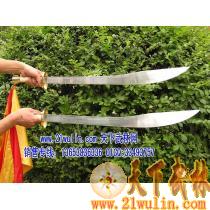 龙中龙武术表演刀